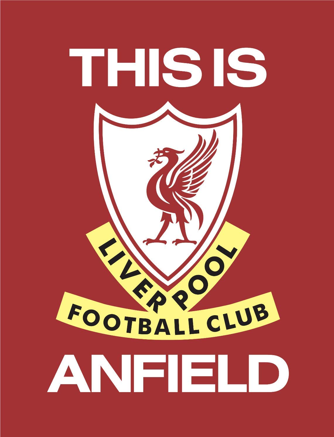 新品リヴァプール LIVER POOL 公式　THIS IS ANFIELD Amazon.com: This is Anfield Liverpool : Home & Kitchen